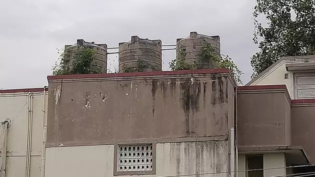 குடிநீர் தொட்டியையொட்டி வளர்ந்த மரக்கன்றுகள்