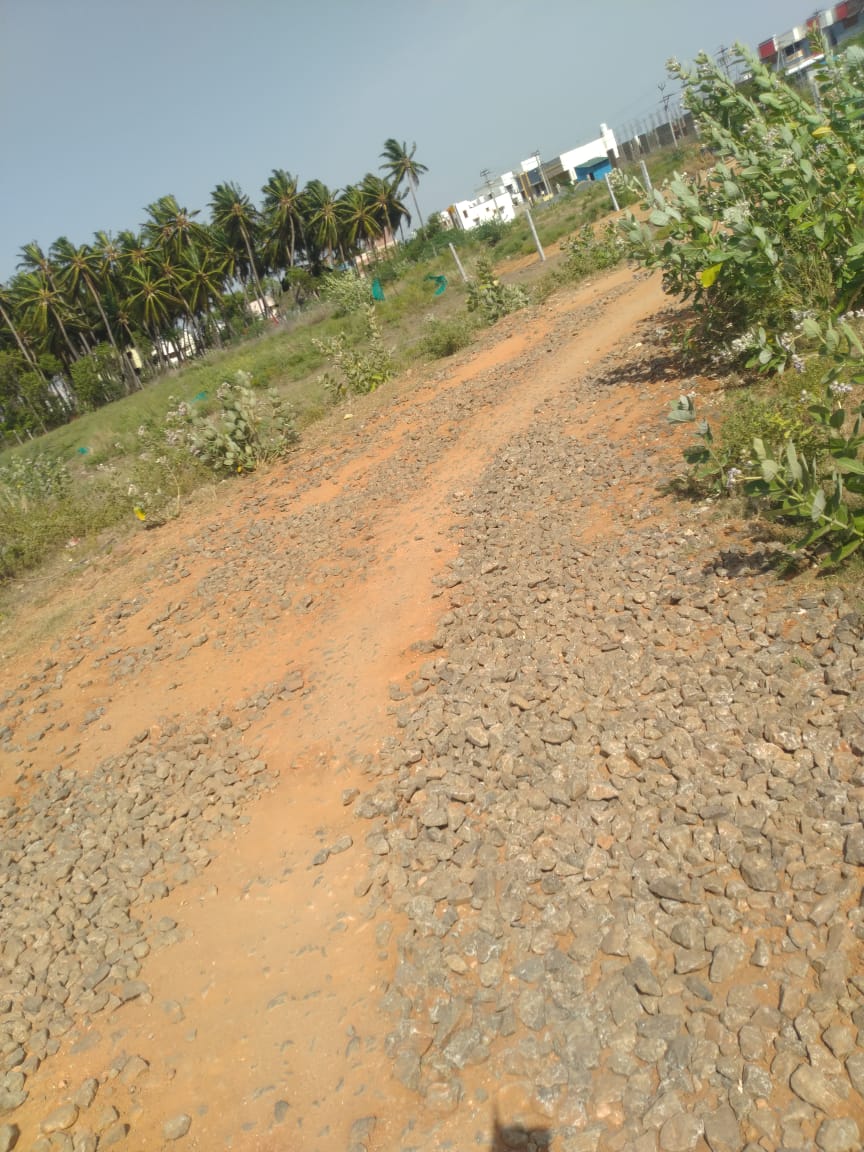 தார் சாலை வேண்டும் தார் சாலை வேண்டும்