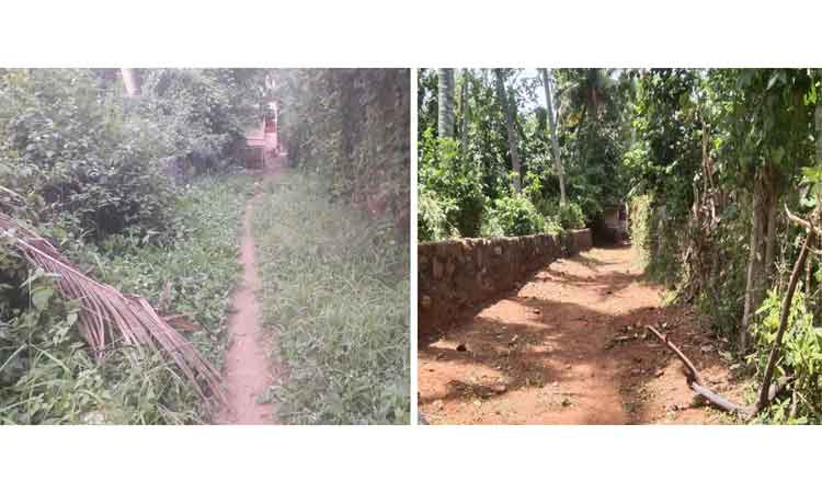 செடி,கொடிகள் அகற்றம்