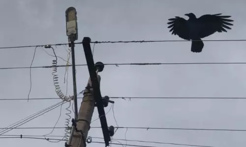 பல மாதமாக ஒளிராத மின்விளக்கு