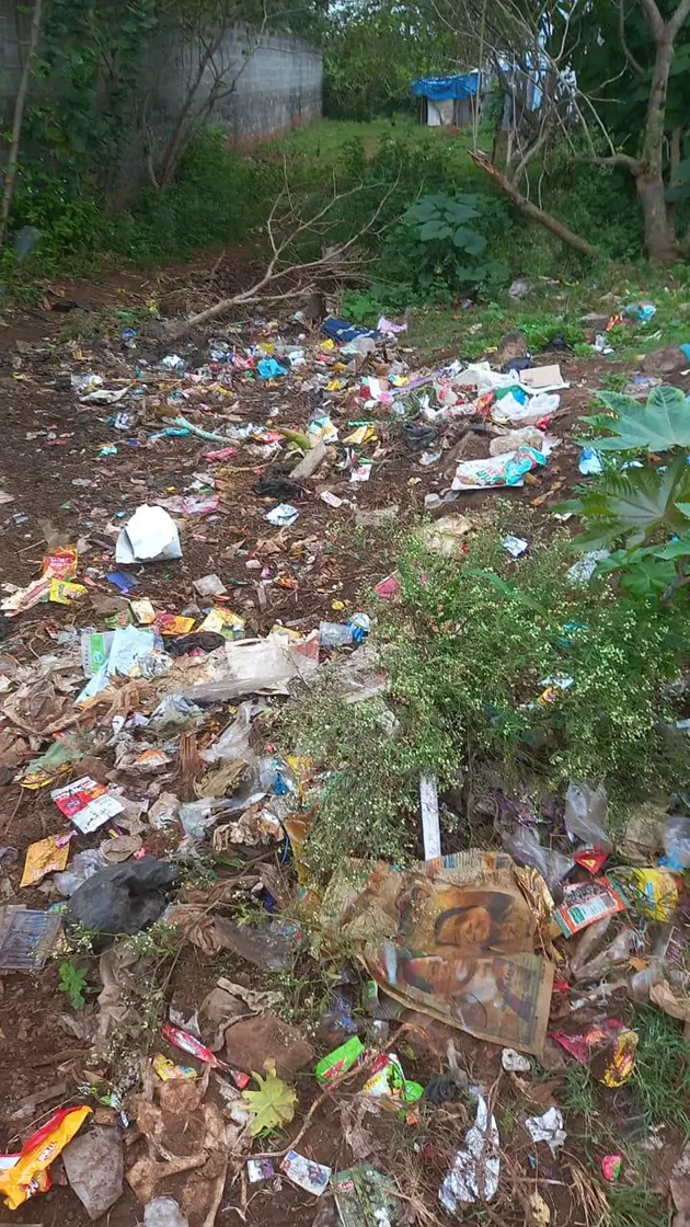 குப்பைகளை அகற்றுவார்களா? குப்பைகளை அகற்றுவார்களா?