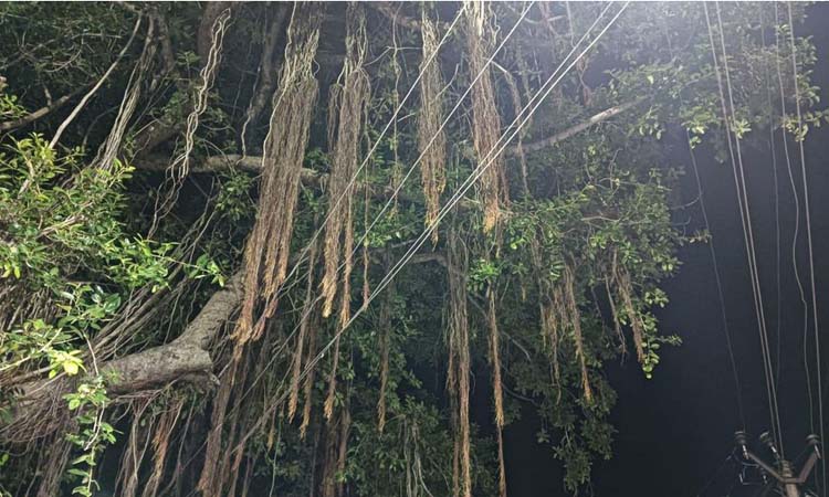 மின் விபத்து அபாயம்