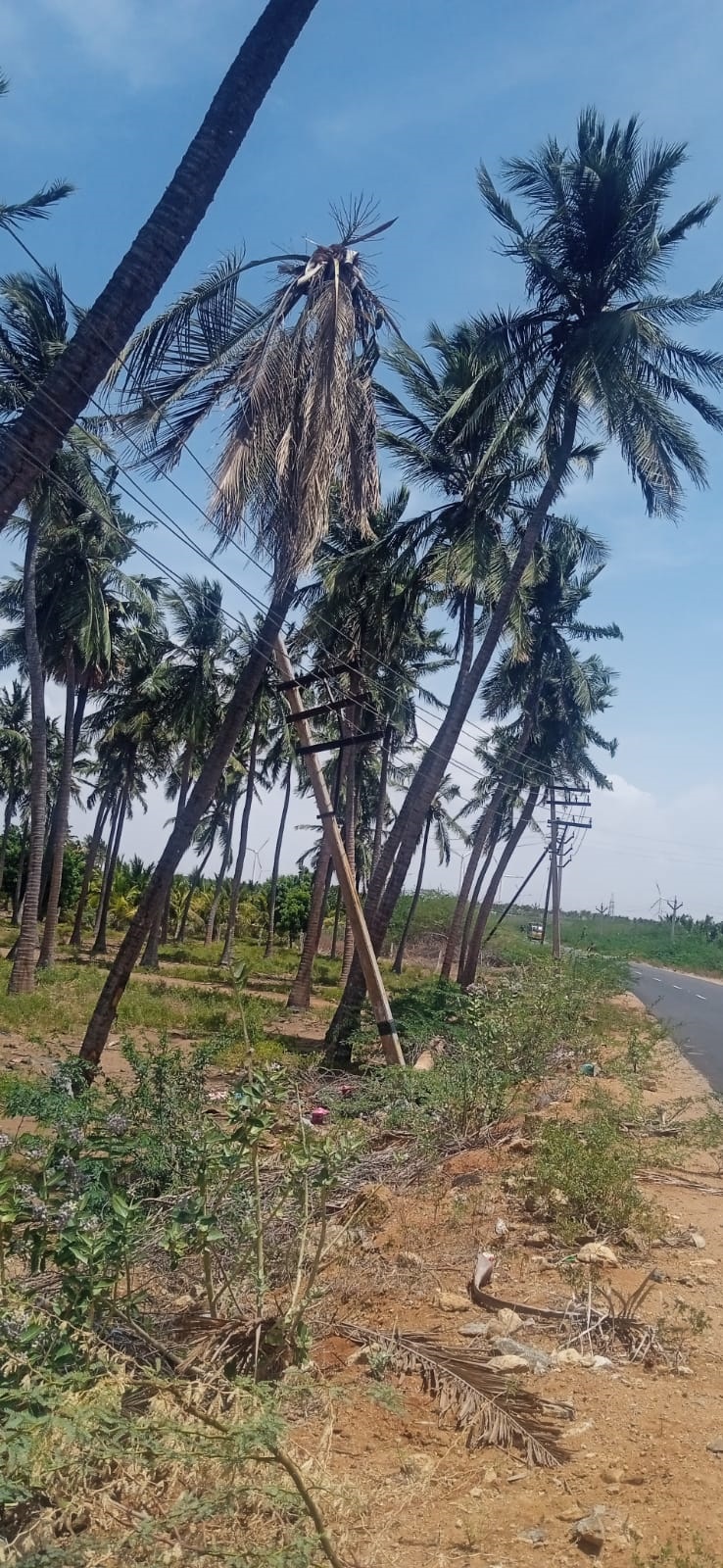 ஆபத்தான மின்கம்பம் ஆபத்தான மின்கம்பம்