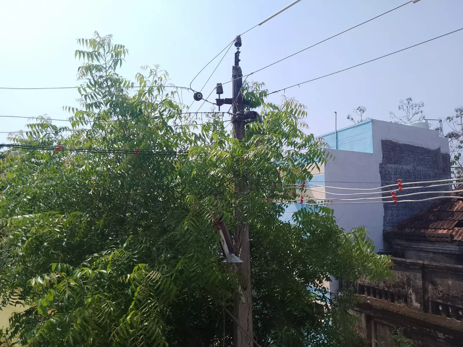 ஆபத்தான மின்கம்பம்