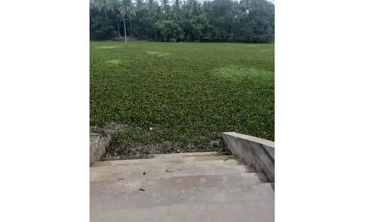 குளத்தை தூர்வார வேண்டும்