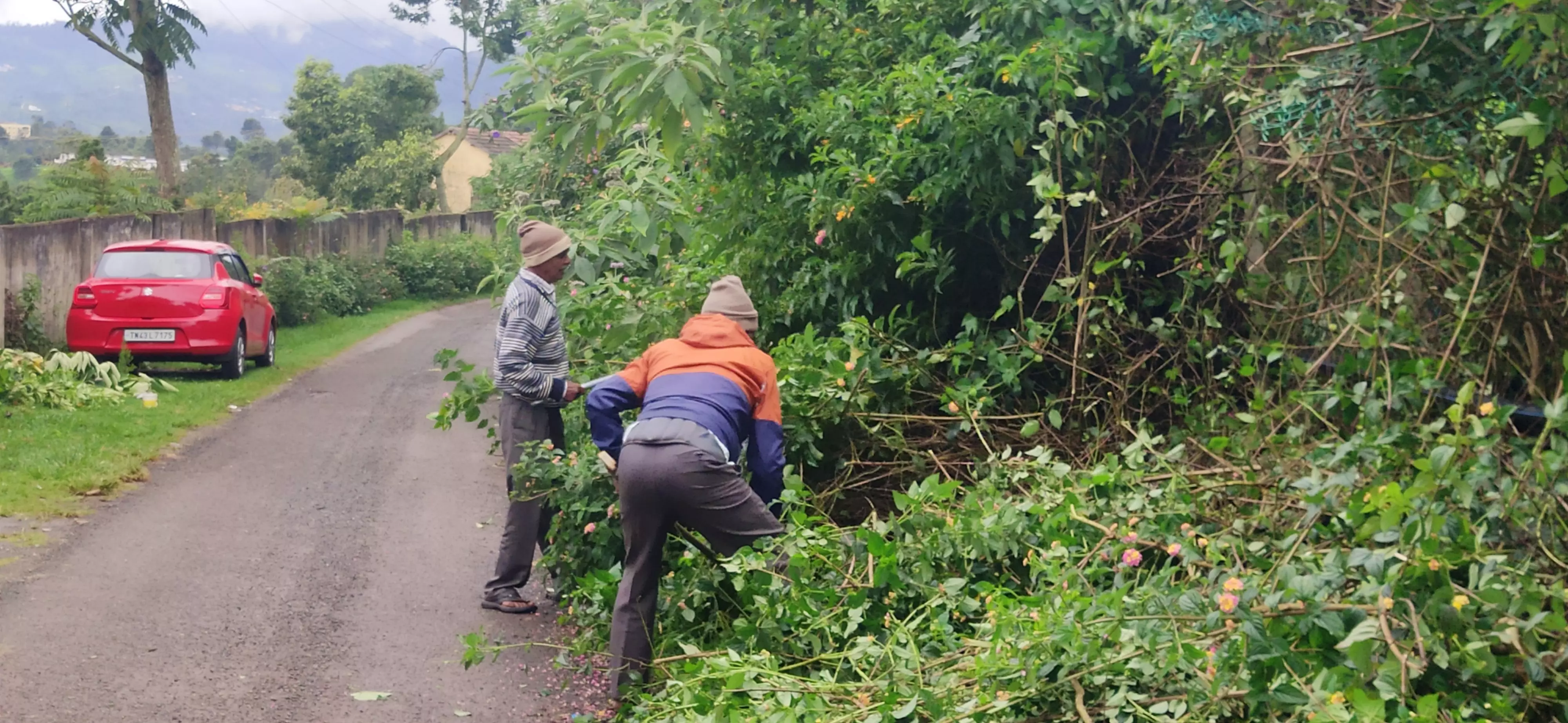 புதர் செடிகளை அகற்றும் பணி புதர் செடிகளை அகற்றும் பணி