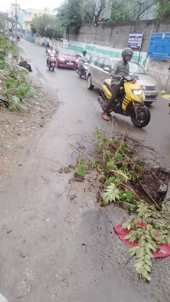 சாலையில் பள்ளம் சாலையில் பள்ளம்