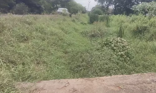 வாய்க்கால் தூர்வாரப்படுமா? வாய்க்கால் தூர்வாரப்படுமா?