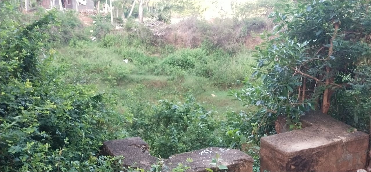 தூர்வார வேண்டும்