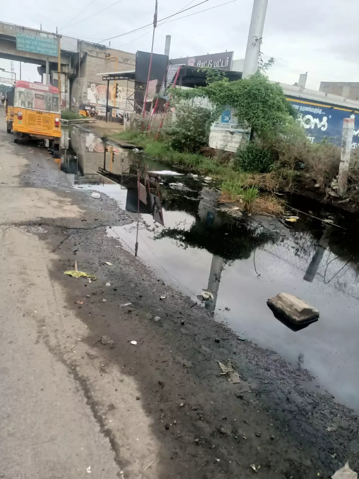 நோய் பரவும் அபாயம்