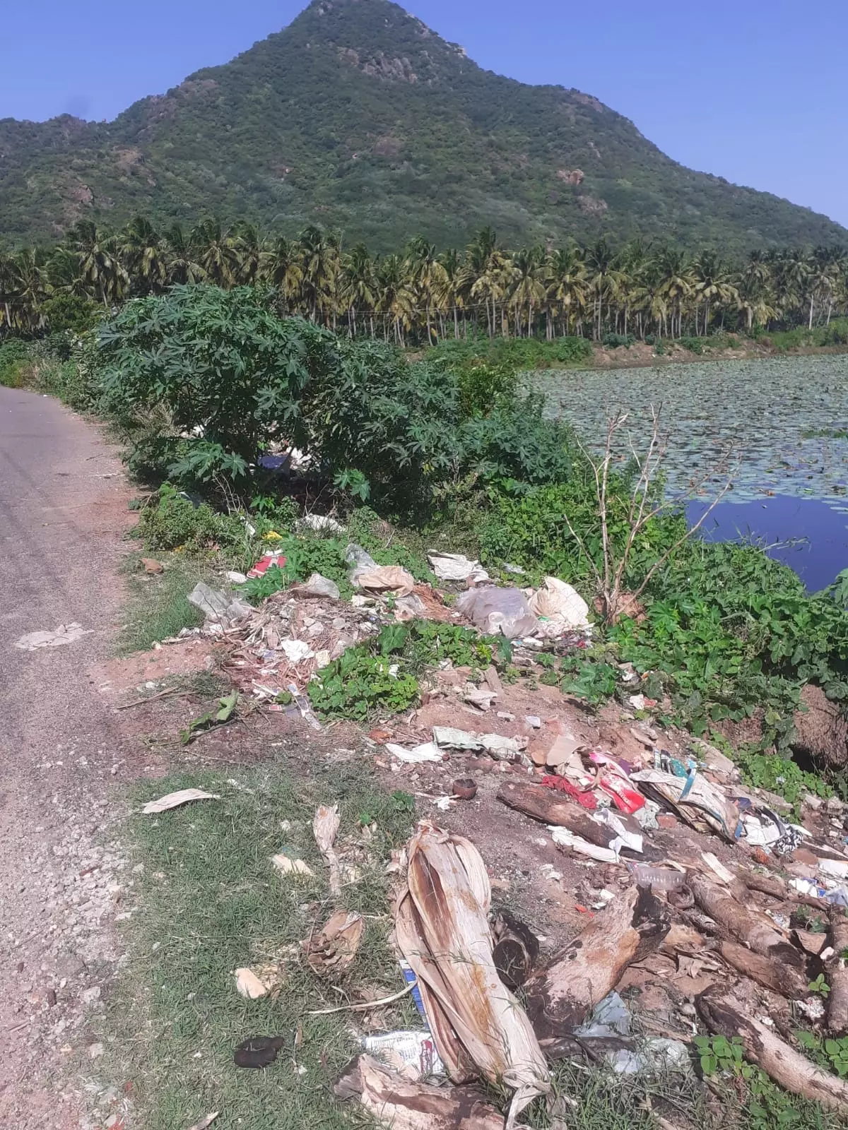 குப்பையை அகற்ற வேண்டும்