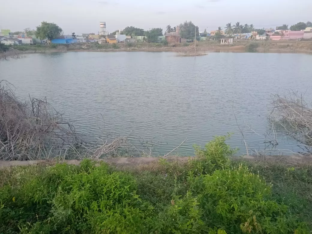 மாசடையும் குளம்