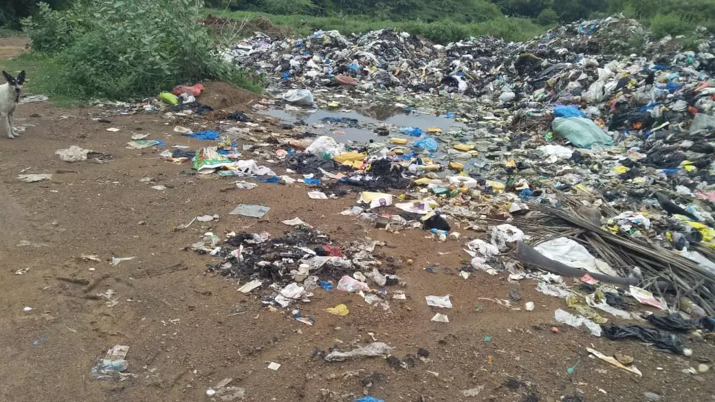 குப்பைகள் அகற்றப்படுமா?