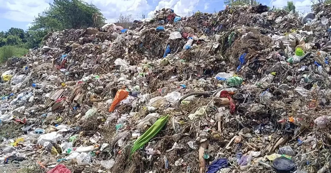 மலைபோல் குவிந்துள்ள குப்பை மலைபோல் குவிந்துள்ள குப்பை