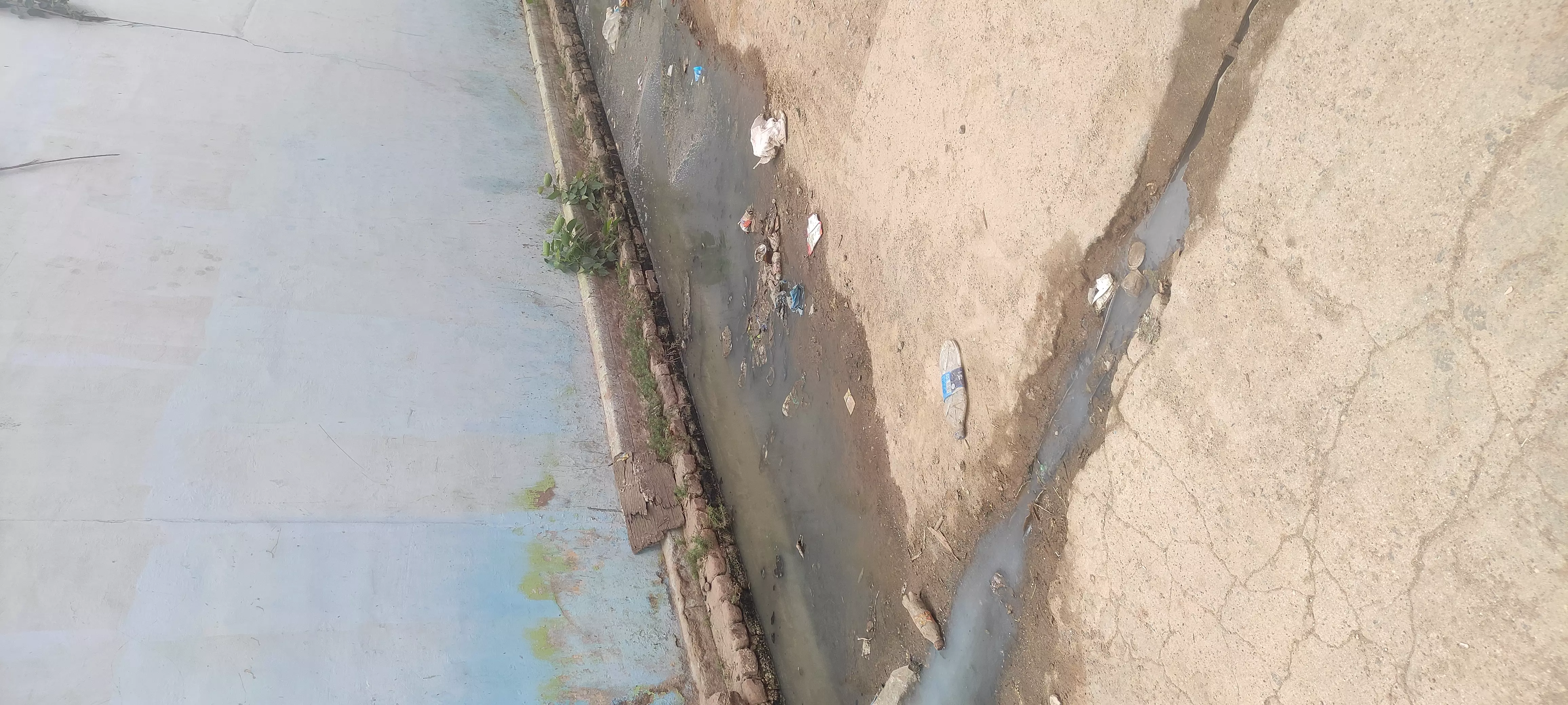 கழிவுநீர் கால்வாயை தூர்வார வேண்டும்