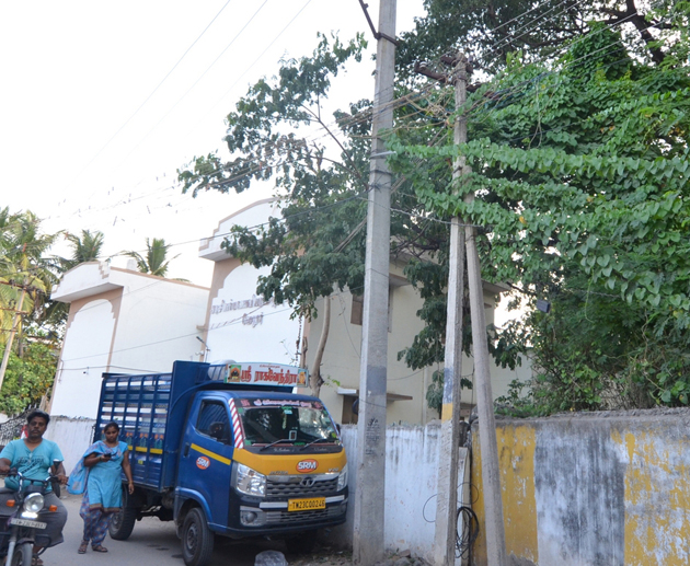 மின்கம்பத்தில் படர்ந்த செடிகள்