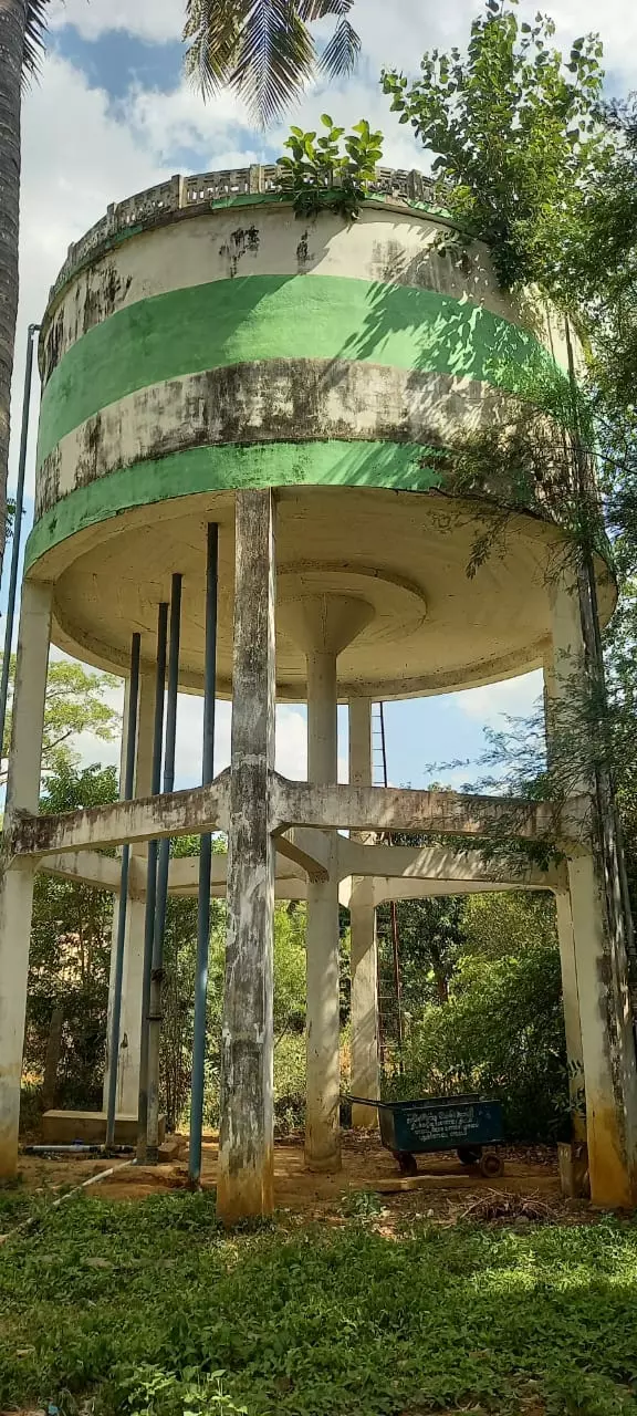 நீர்த்தேக்க தொட்டியில் வளரும் மரம் நீர்த்தேக்க தொட்டியில் வளரும் மரம்