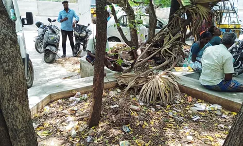 தினமும் தூய்மை செய்ய வேண்டும் தினமும் தூய்மை செய்ய வேண்டும்