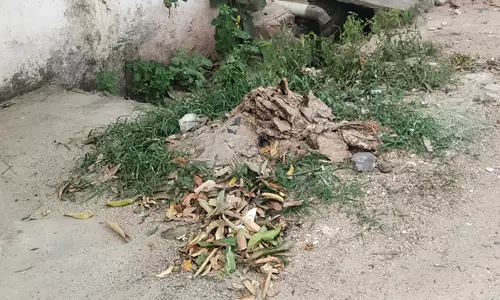 சிமெண்டு சாலையோரம் மண் குவியல்