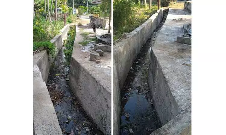 ெசடிகள் அகற்றப்பட்டது