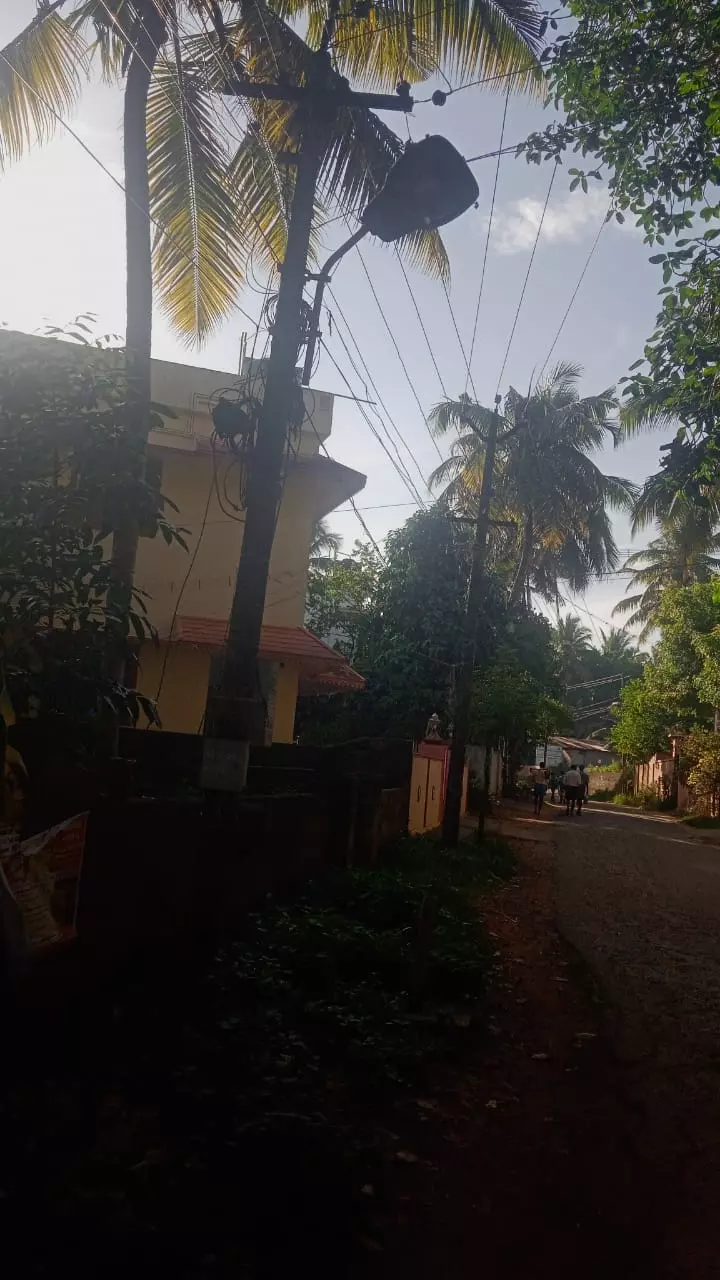 எரியா மின்விளக்கு