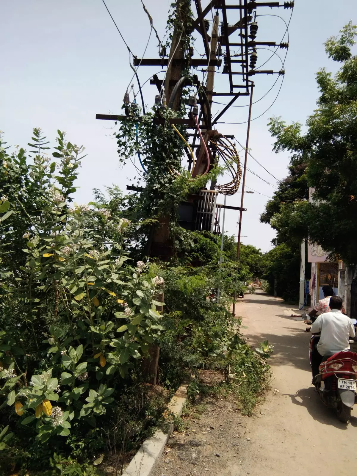 புதர் மண்டிய மின்மாற்றி