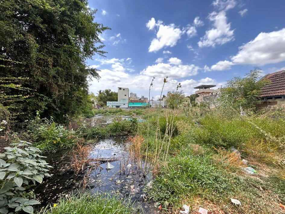 கழிவுநீர் தேங்குவதால் துர்நாற்றம்