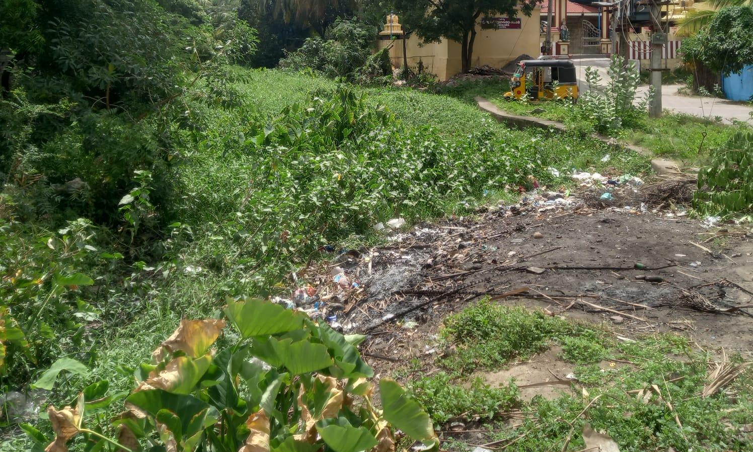 குளத்தை தூர்வார வேண்டும்