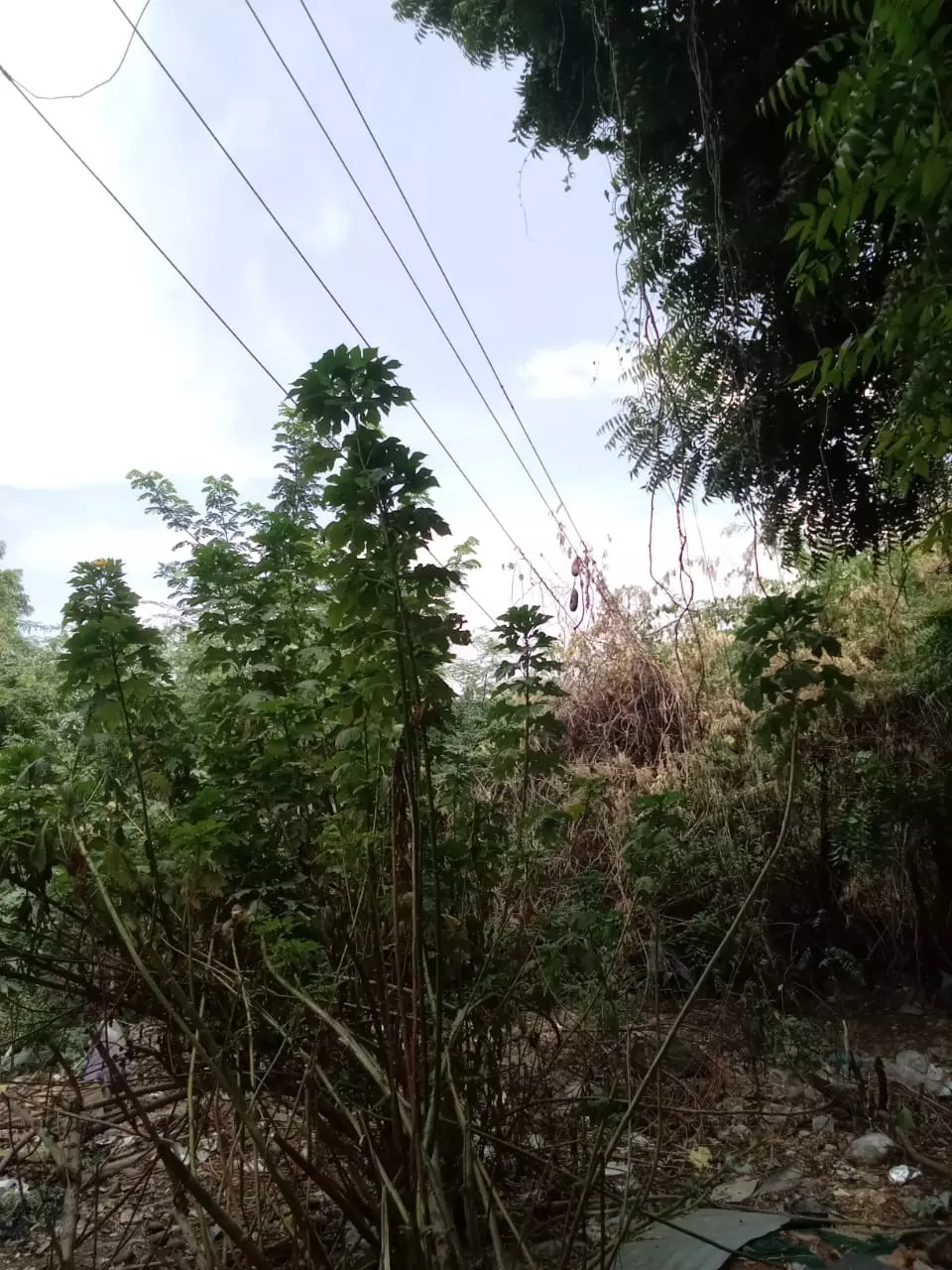 மின்விபத்து அபாயம்