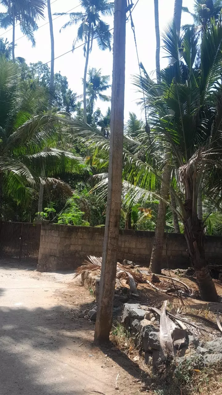 சேதமடைந்த மின்கம்பம்