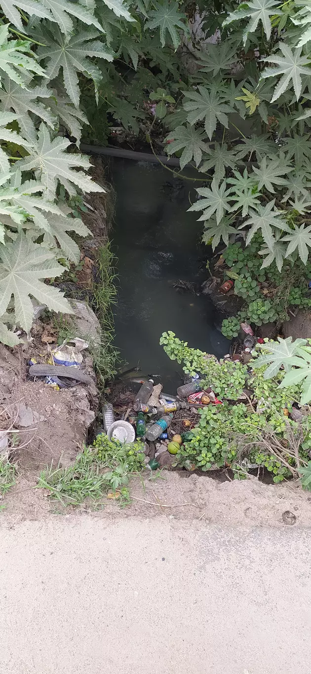 கால்வாயில் தேங்கும் கழிவுநீர் கால்வாயில் தேங்கும் கழிவுநீர்