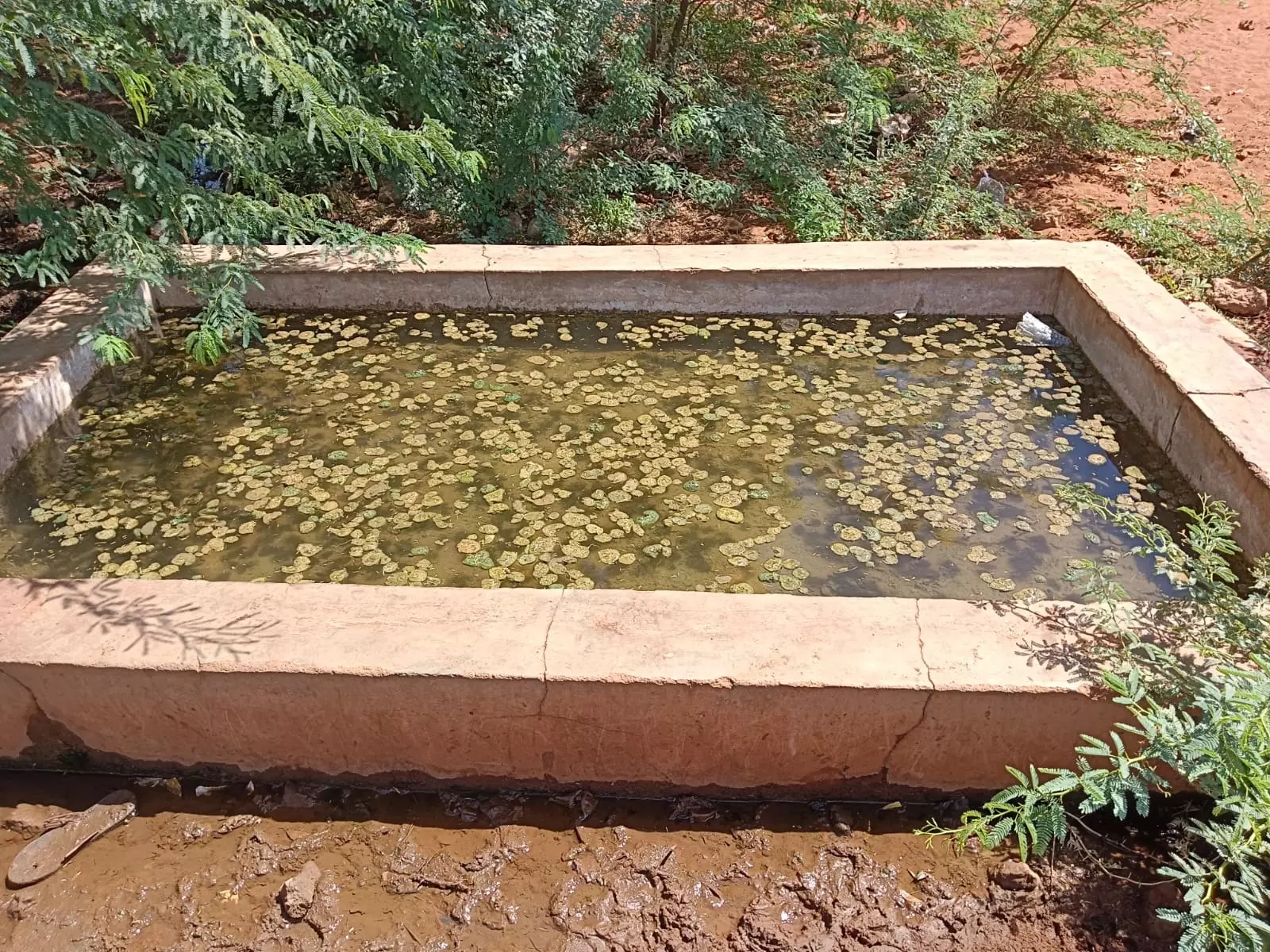 தண்ணீர் தொட்டி சுத்தம் செய்யப்படுமா?