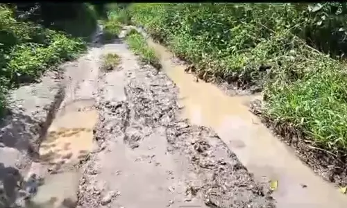 தார்சாலை வசதி கிடைக்குமா? தார்சாலை வசதி கிடைக்குமா?