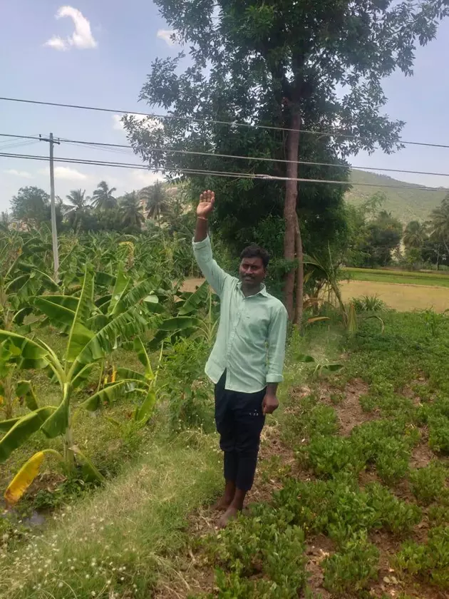 தாழ்வாக செல்லும் மின்கம்பிகள்