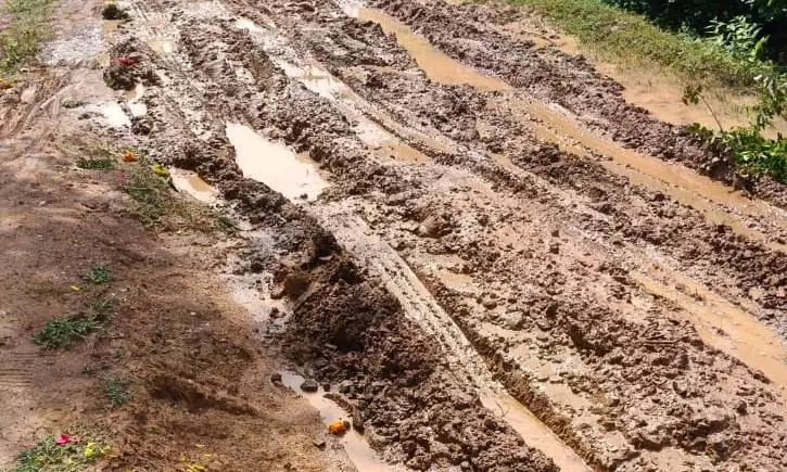 சேறும், சகதியுமான சாலை சேறும், சகதியுமான சாலை