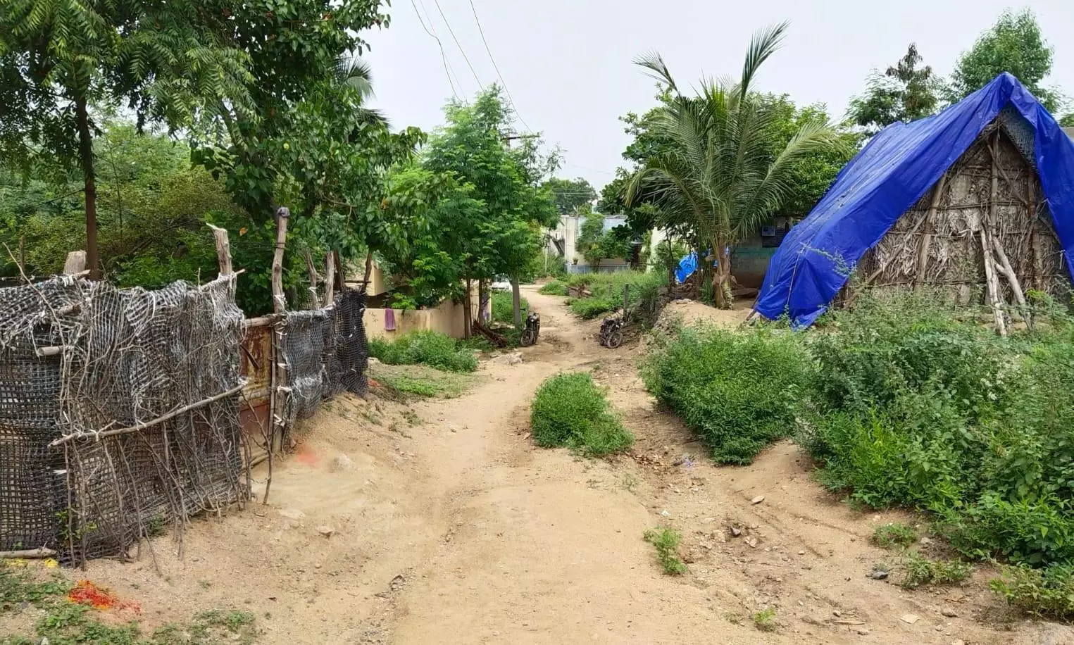 சாலை அமைக்கப்படுமா? சாலை அமைக்கப்படுமா?