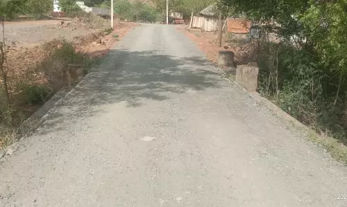 தடுப்புச்சுவர் இல்லாத பாலம்