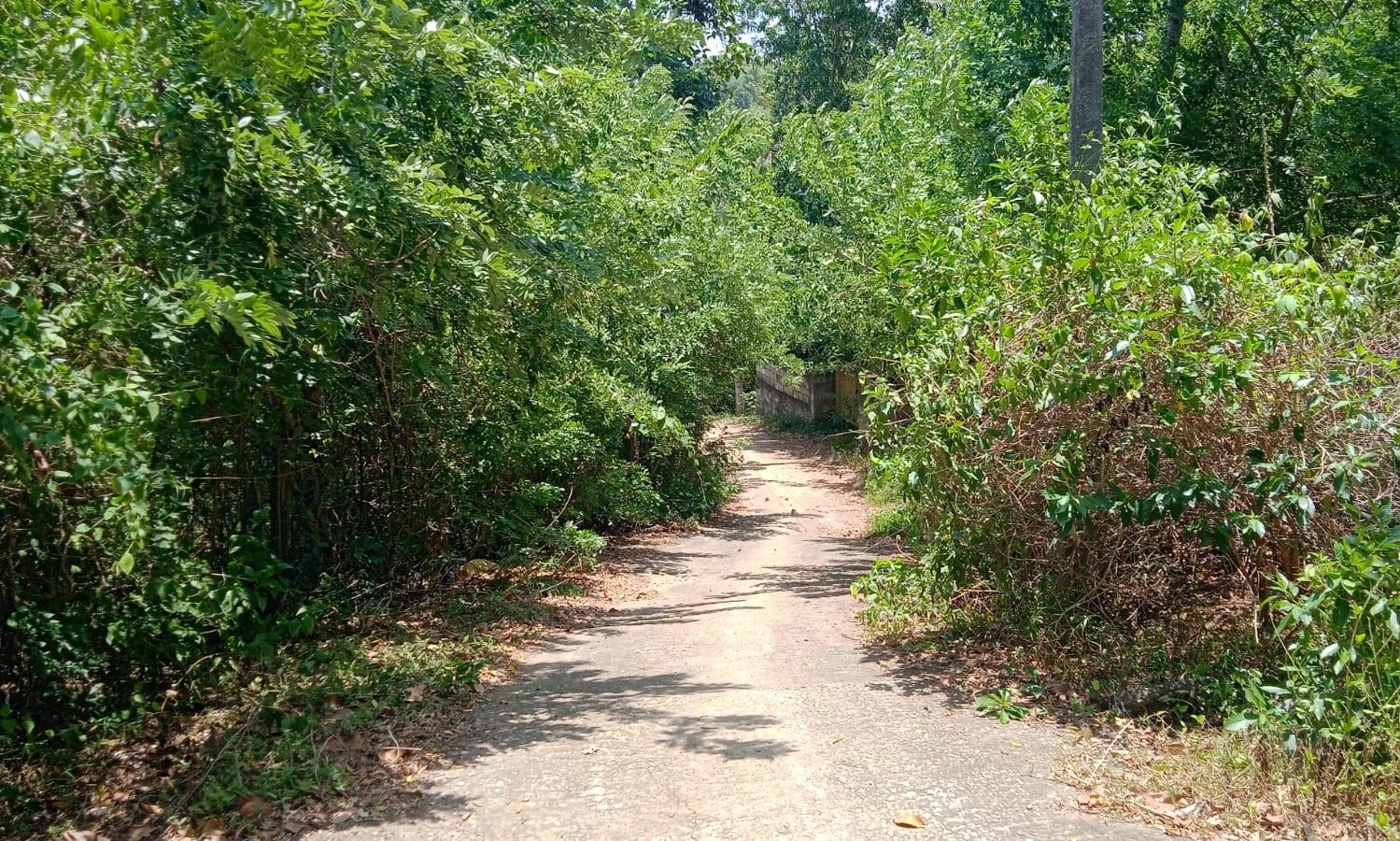 பாதசாரிகள் அவதி