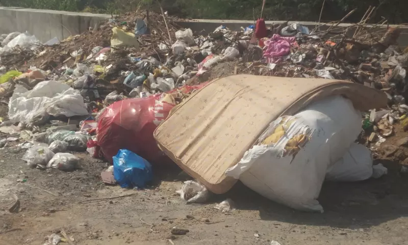 குப்பைகளால் சுகாதார சீர்கேடு குப்பைகளால் சுகாதார சீர்கேடு