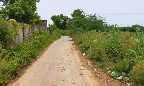 விஷ செடிகள் வளர்ந்த மயான பாதை விஷ செடிகள் வளர்ந்த மயான பாதை