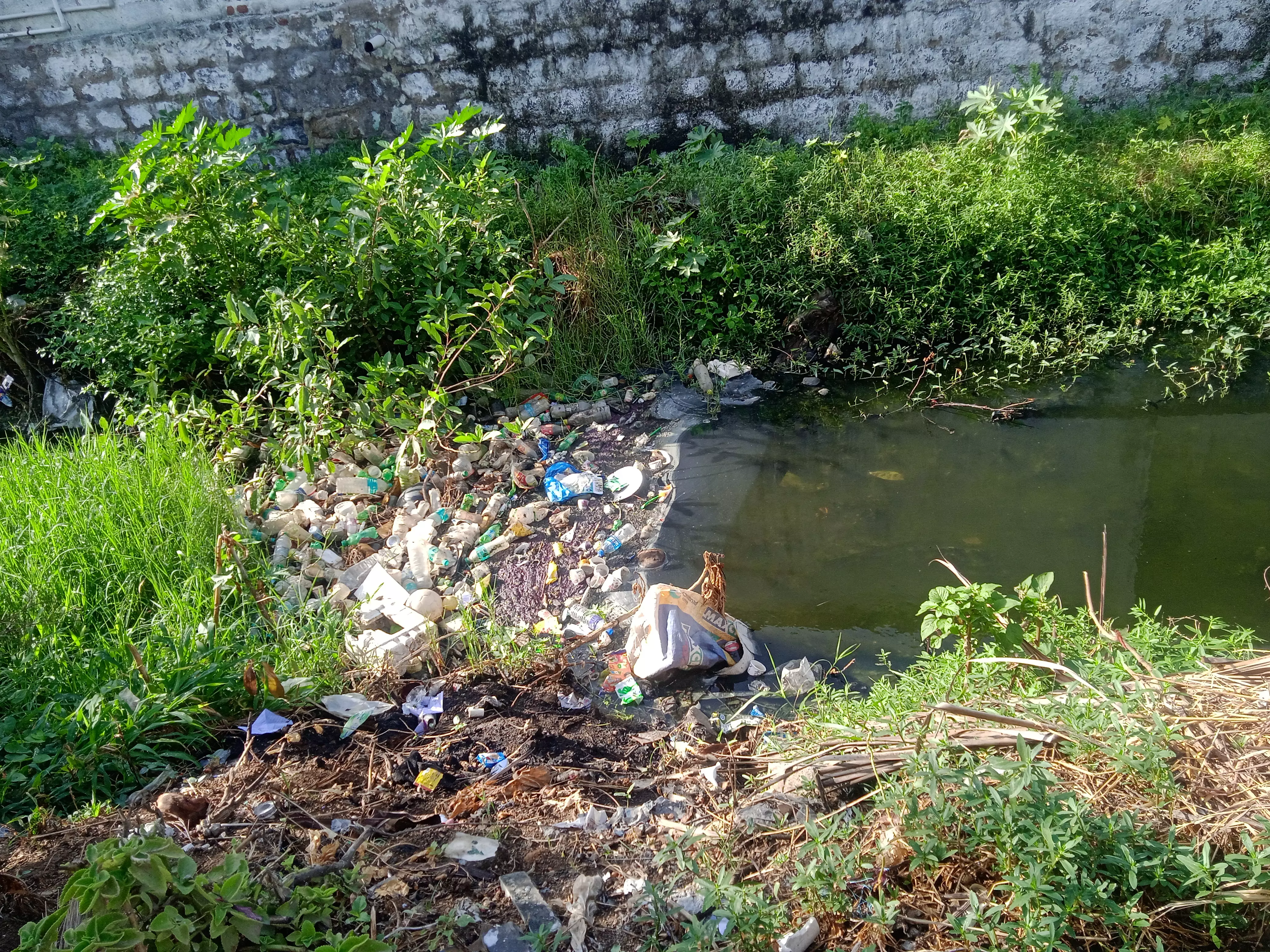 தேங்கிய கழிவுநீர்