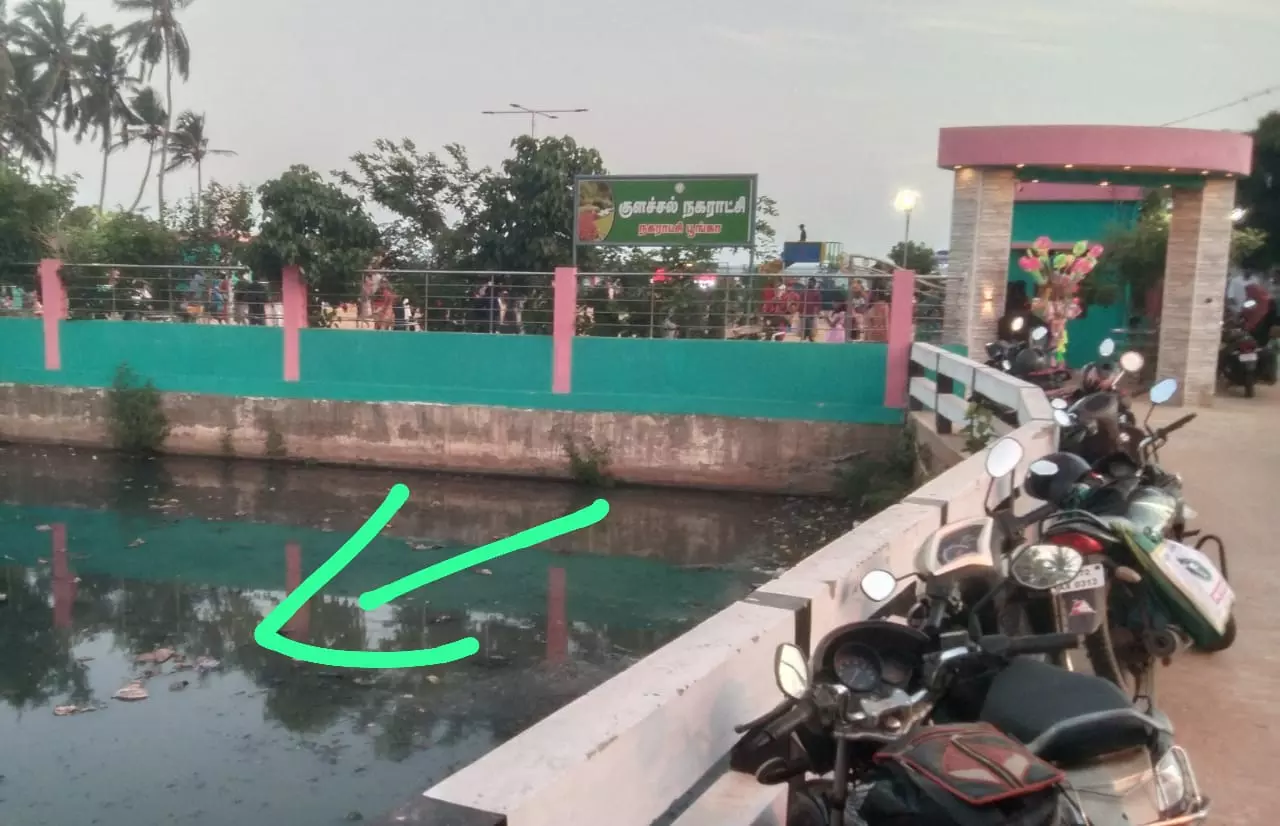 தொற்றுநோய் பரவும் அபாயம்