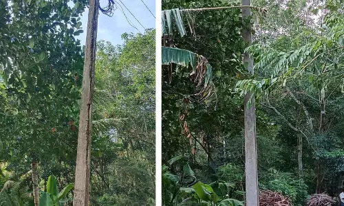 மின்கம்பம் மாற்றப்பட்டது மின்கம்பம் மாற்றப்பட்டது