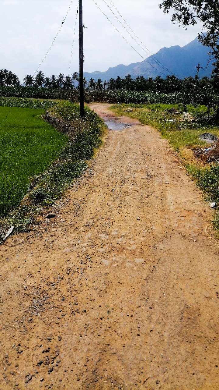 தார்சாலை அமைப்பார்களா?