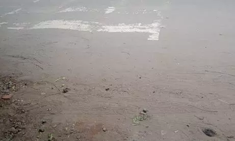 வர்ணம் பூச வேண்டும்