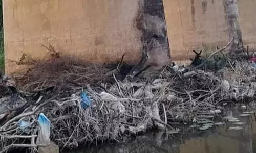 ஆற்றில் கிடக்கும் மரங்கள் ஆற்றில் கிடக்கும் மரங்கள்