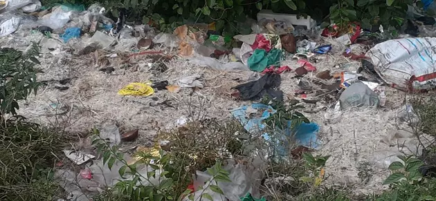 குப்பைகளால் சுகாதார சீர்கேடு குப்பைகளால் சுகாதார சீர்கேடு