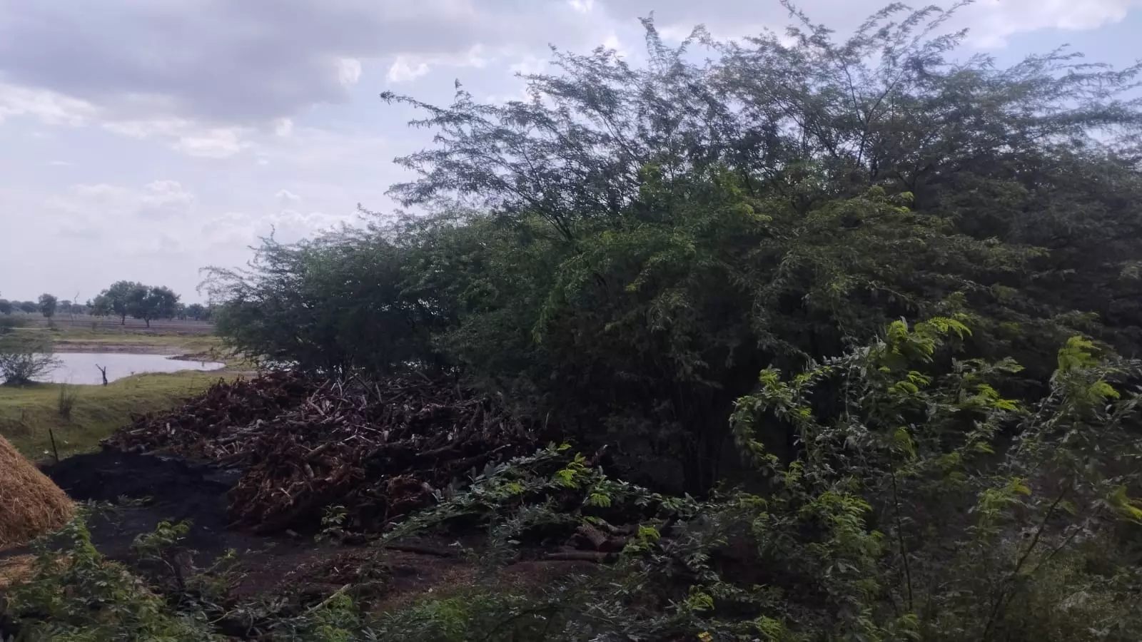 தூர்வாரப்படாத குளங்கள்