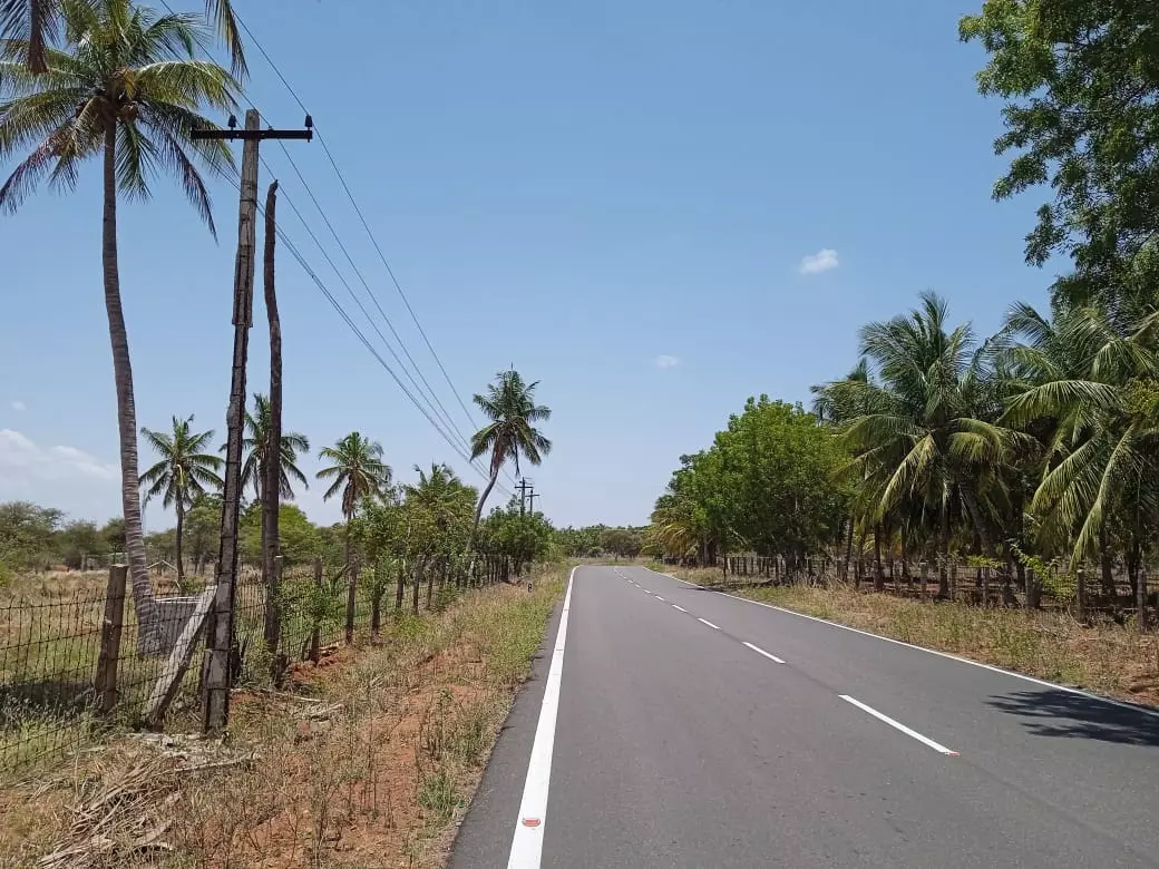 எலும்பு கூடான மின்கம்பம் எலும்பு கூடான மின்கம்பம்