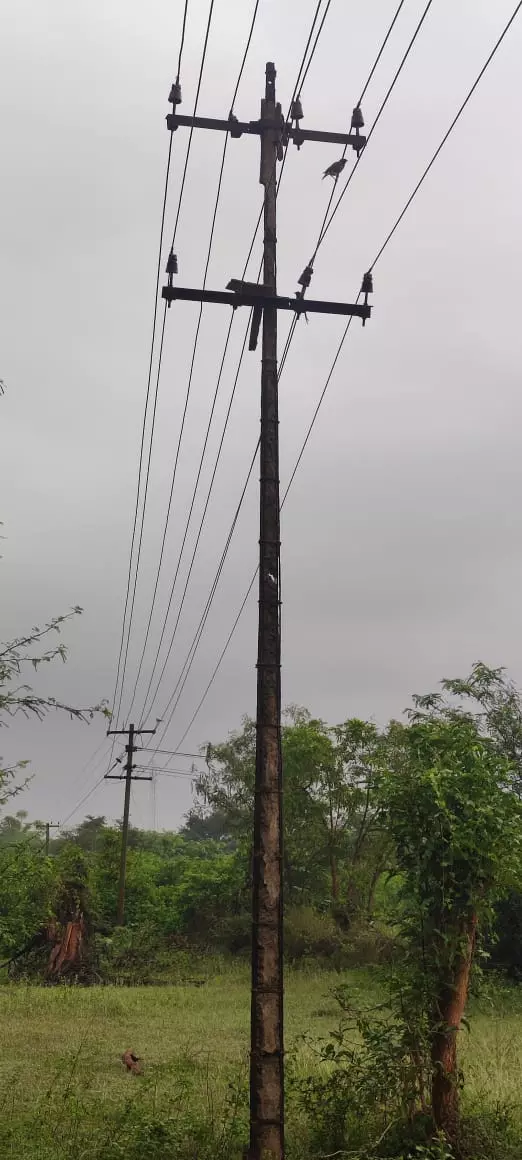 எலும்பு கூடான மின்கம்பம்